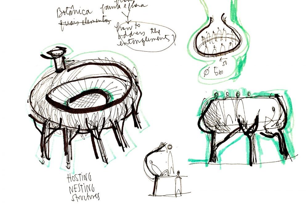 Homeostasis Drawing / Homeostasis is the maintenance of a constant